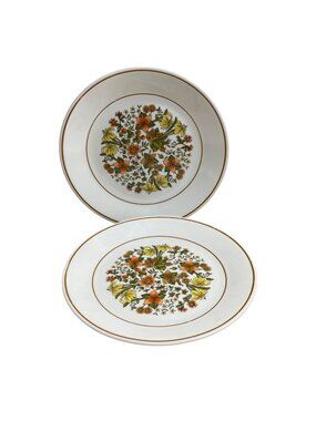 Vtg Corelle By Corning Indian Summer Pattern Luncheon Plates 8.5 inch Set Of 2